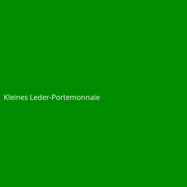 Kleines Leder-Portemonnaie